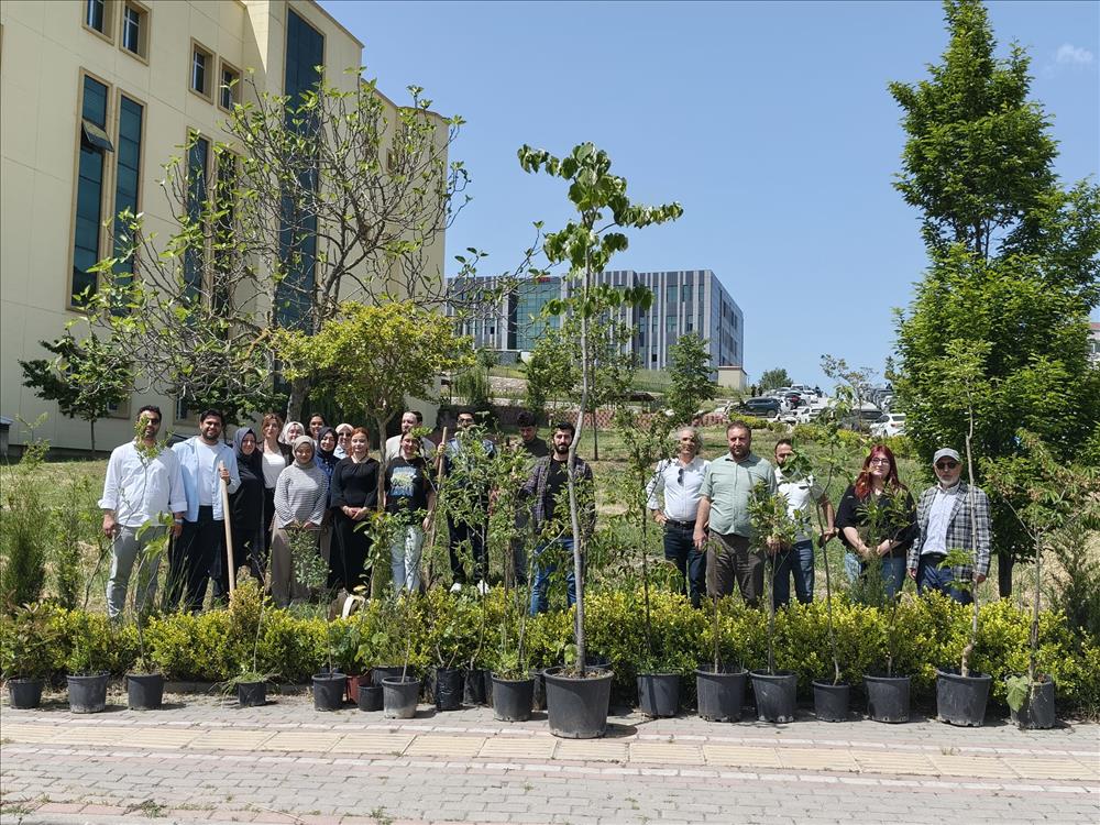 Department of Social Work Holds Tree-Planting Event to Promote Ecological Awareness and Contribute to a Sustainable Future