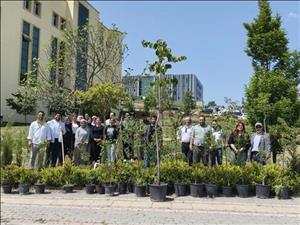 Sosyal Hizmet Bölümünden Ekolojik Farkındalık ve Sürdürülebilir Geleceğe Katkı: Fidan Dikim Etkinliği Gerçekleştirildi